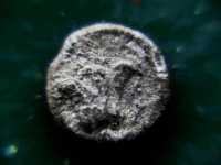 Τριαντάφυλλο σε Αρχαίο Νόμισμα της Ρόδου, Ωρίωνας Μ